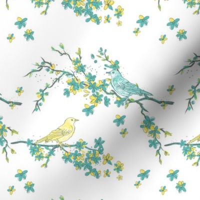 Spring Blossoms & Song Birds 