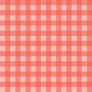 Gingham in Coral Red and Pink (Medium)