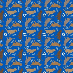 Tiny Chesapeake Bay Retrievers - Hanukkah