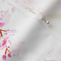 cherry blossoms delicate copy