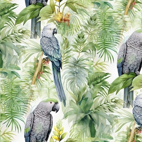 Gray Parrots and Tropical Plants