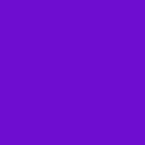 Electric purple Neon purple #6e0dd0 _neon purple 2
