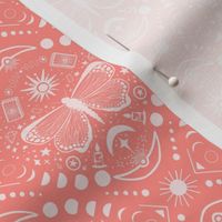Everything is connected // boho celestial gothic wallpaper - sun, moon/lunar phases, butterfly, star elements - pastel orange and white motifs 