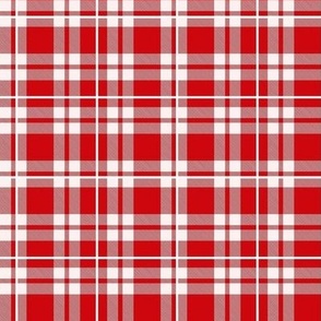 Smaller Scale Red Plaid