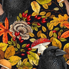 Autumn raven on black