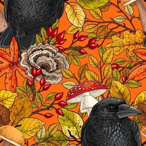 Autumn raven on orange