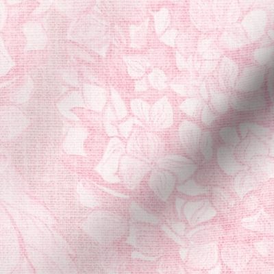 M Hydrangea flowers climbing in subtle soft monochromatic blush pink vintage rococo very feminine coquette