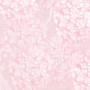M Hydrangea flowers climbing in subtle soft monochromatic blush pink vintage rococo
