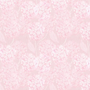 S Layered Hydrangea flowers climbing in soft monochromatic light blush pink rococo