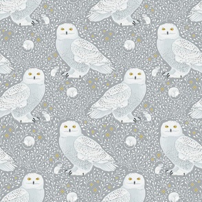 Birds of prey snowy owls on grey