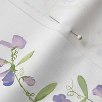 Sweet Pea Vine - Purple 12"