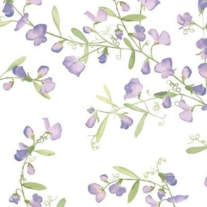 Sweet Pea Vine - Purple 12"
