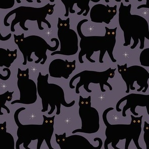Black Cats on Violet Shadow