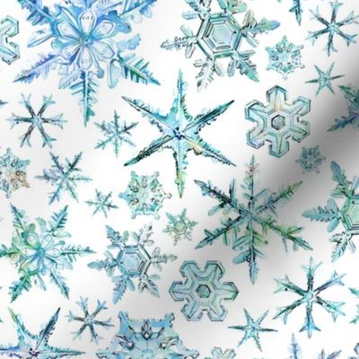 Snowflakes / Ice Crystals