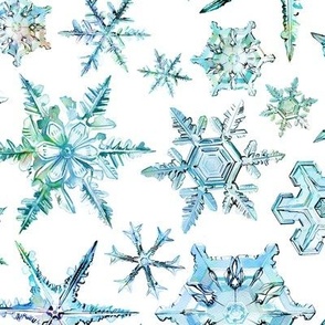 Large / Snowflakes Ice Crystals