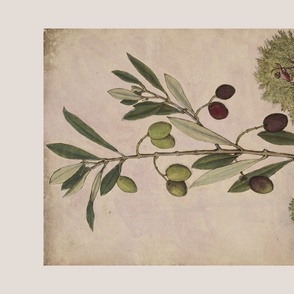 Olive Tree Wall Hanging