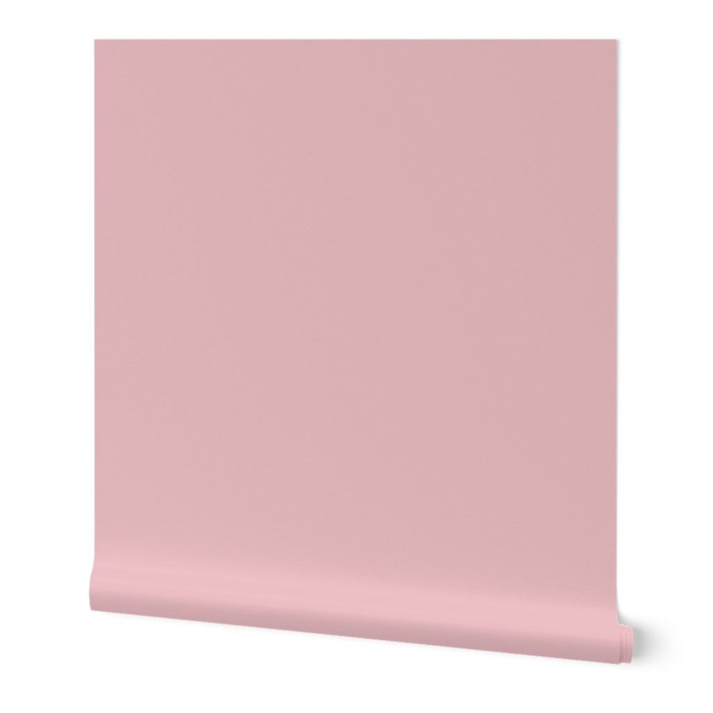 Light pink solid