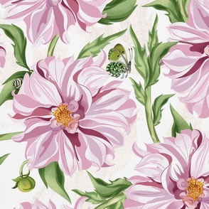 Dahlias with bugs on cream background