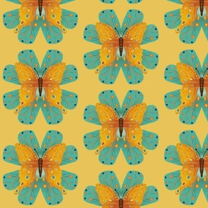 Amber butterfly on teal and yellow background.