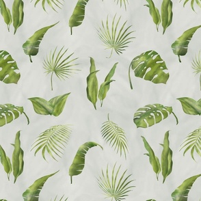 tropical plants pattern and light background