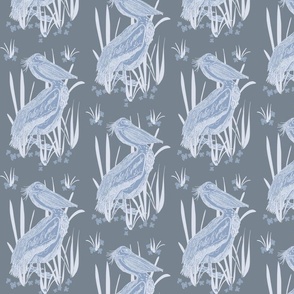 Blue Pelicans on Gray background