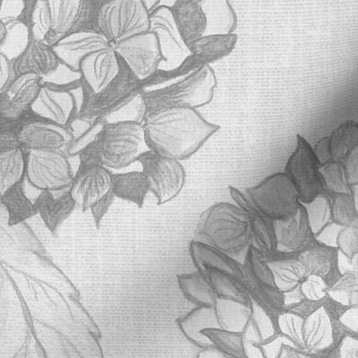 Layered Hydrangea flowers climbing in soft monochromatic neutral charcoal rococo