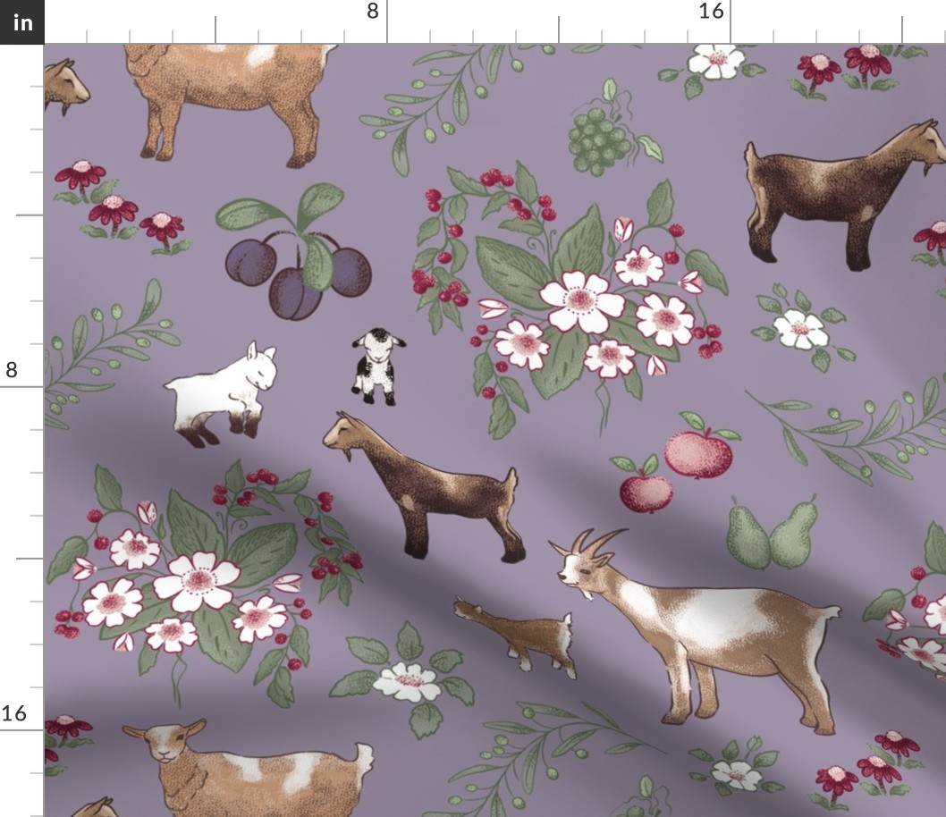 Plum Vintage Kitchen Dwarf Goats