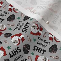 Small Scale You Ain't Gettin' Shit Sarcastic Sweary Christmas Santa on Grey