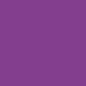 Dark Grape Purple Solid Color Pairs 6044 C - 2024 Trending Shade - Hue