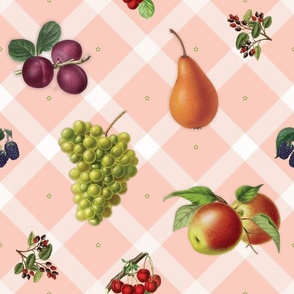 Summer fruit_ white on coral plaid