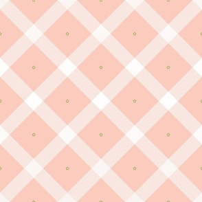 Plaid_ white on coral