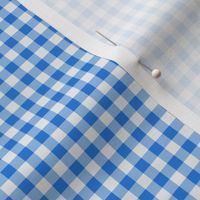 Gingham ~ True Blue