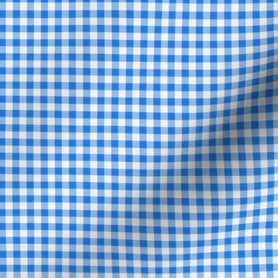 Gingham ~ True Blue