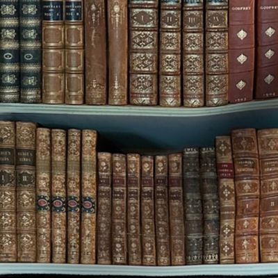 Antique Vintage  books on bookshelves 24” repeat earthy neutral hues