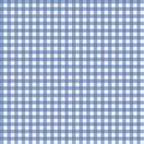 Gingham Memory Blue