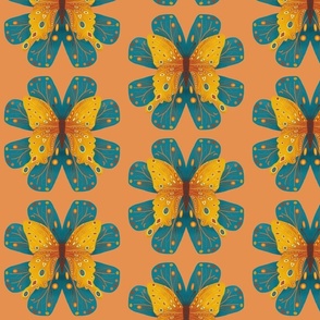 Amber butterfly on teal and coral