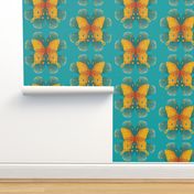 Amber butterfly on turquoise