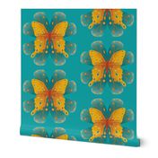 Amber butterfly on turquoise