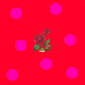 Cherry_Magenta_Dotty_Rose