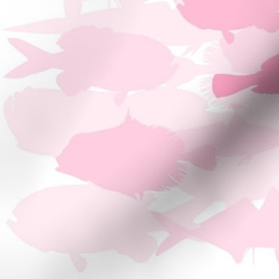 Pink Fish Funk Scatter