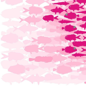 Pink Fish Funk Scatter