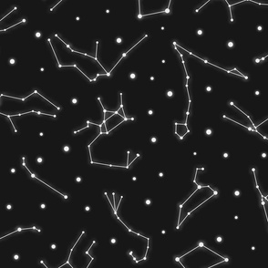 Night Sky Constellations in White