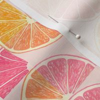 Citrus Fruit Slices Mod Geometric 