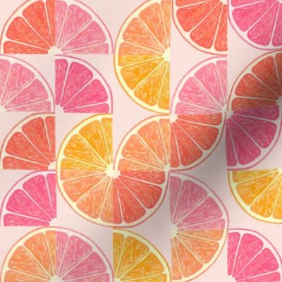 Citrus Fruit Slices Mod Geometric 
