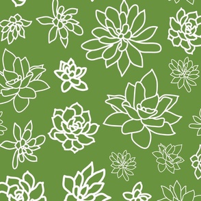 Succulents Pattern 2