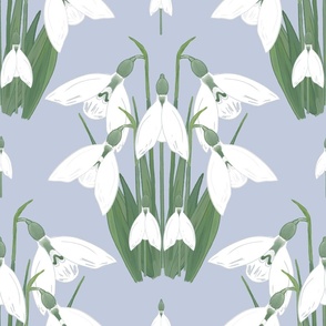 Snowdrops - white and cream on ice blue