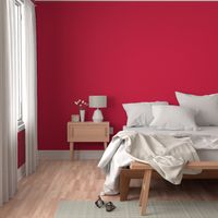 WDSR2 - Pinkish Red  Solid  - hex d8063f