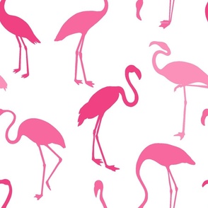 Flamingos In Shades Of Pink