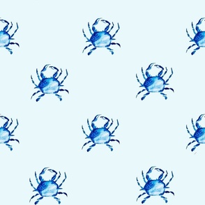Carolina Blue Crab