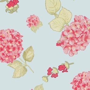 Large scale hydrangeas blue background